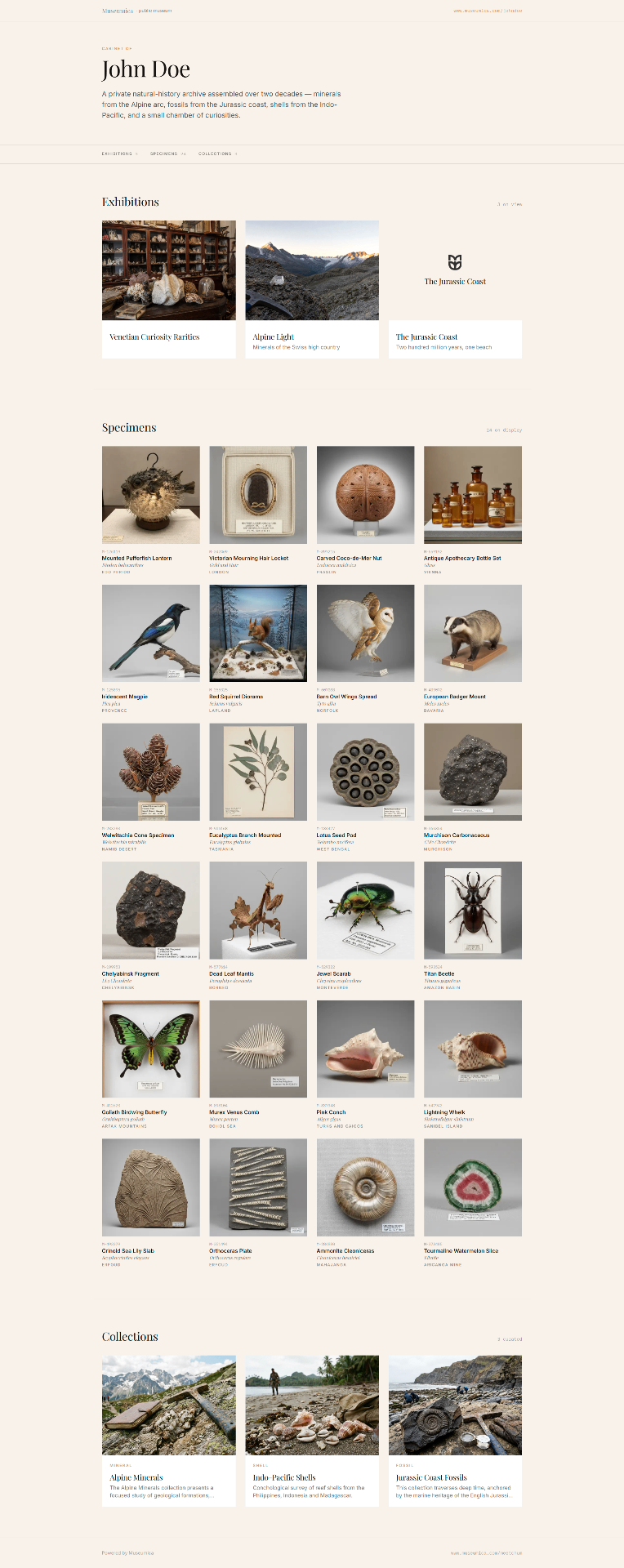 Screenshot of a public museum page showing exhibitions, specimens, and collections